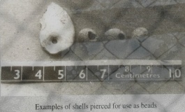 Culverwell Mesolithic Site - PID:13149