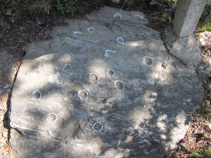 Cupstone Slabs-Graveyard Tarzens