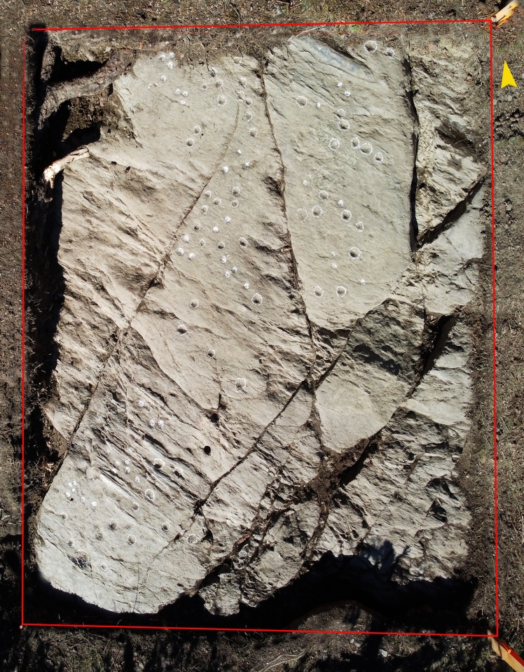 Click for full size image of Cupstone Slabs-Graveyard Tarzens (PID:287627) Cupstone Slabs-Graveyard Tarzens