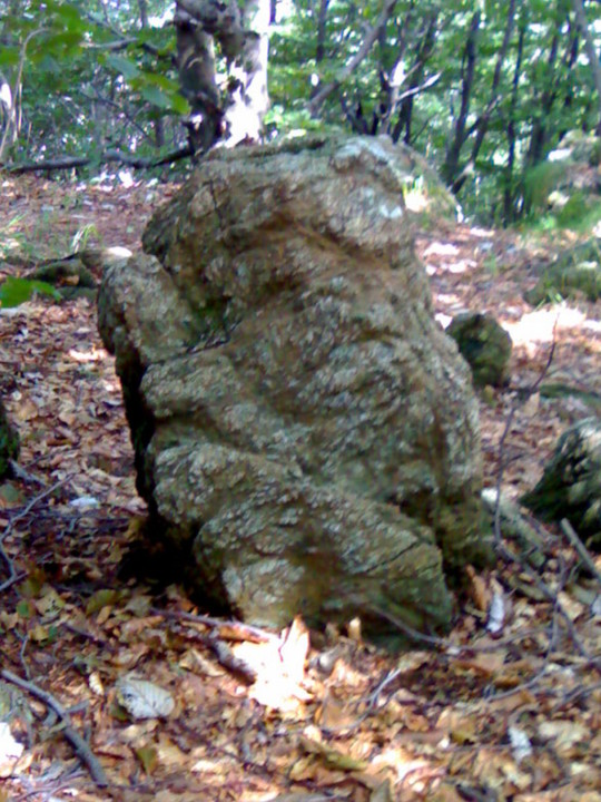 Faiallo's standing stone (2)