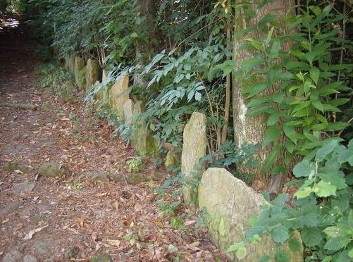 The Ceresio Valley