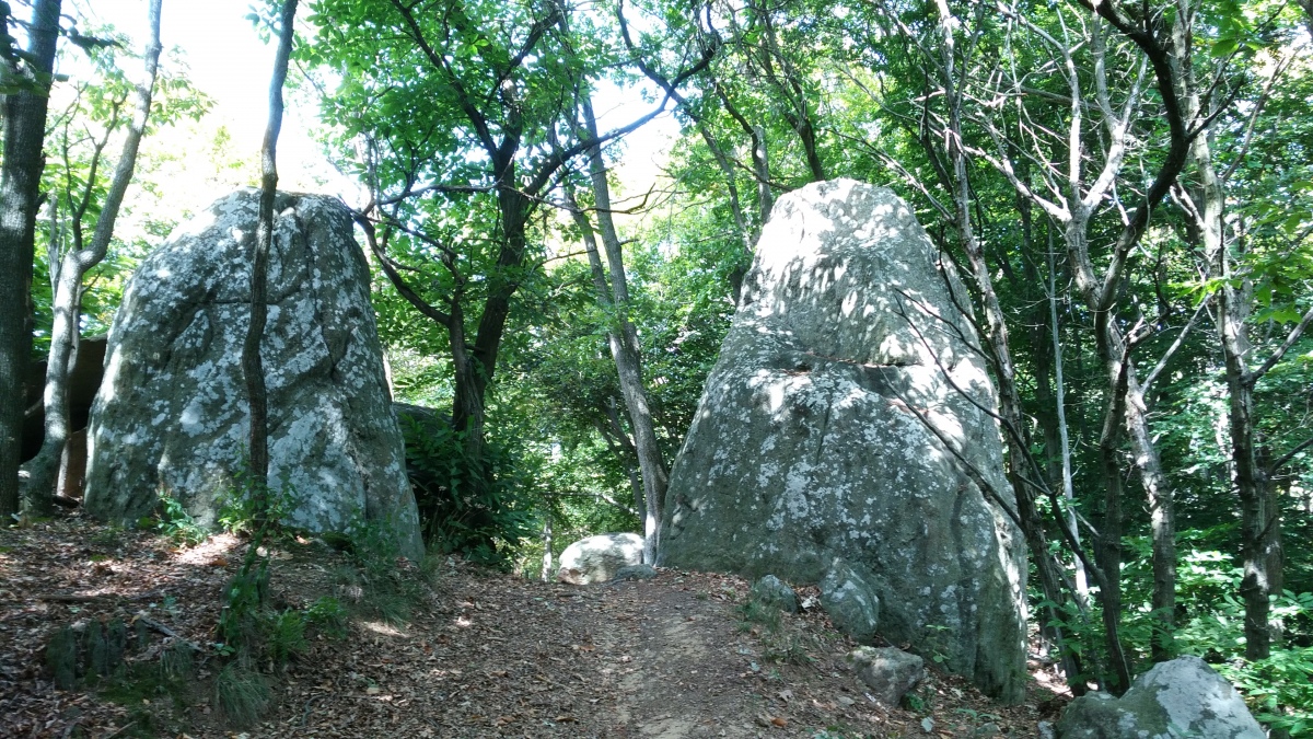 Bosco de Celti 