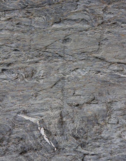 Click for full size image of Rupe Magna (PID:78876) Rupe Magna