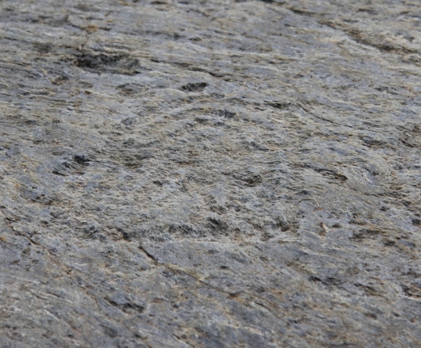 Click for full size image of Rupe Magna (PID:78878) Rupe Magna