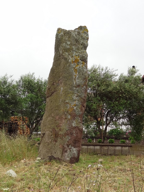 Over 5 m high menhir located south of Villaperuccio (photo taken on May 2012).