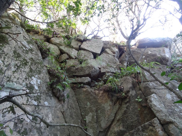 Monti Casteddu Muraglia Megalitica