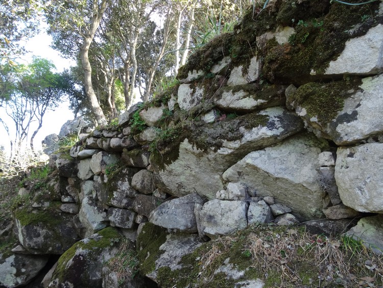 Monti Casteddu Muraglia Megalitica