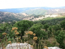 Genna Corte Nuraghe - PID:70352