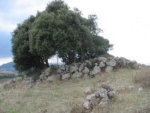 Mura 'e Sai Protonuraghe - PID:94431
