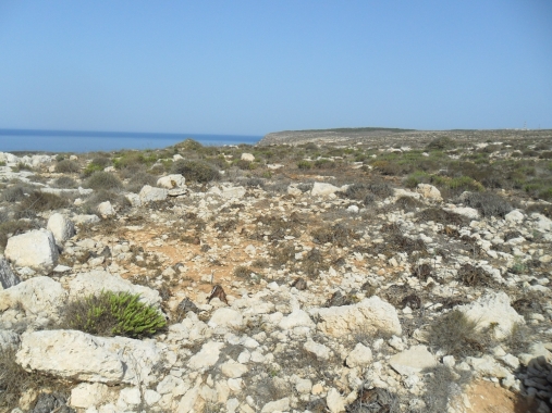 Lampedusa