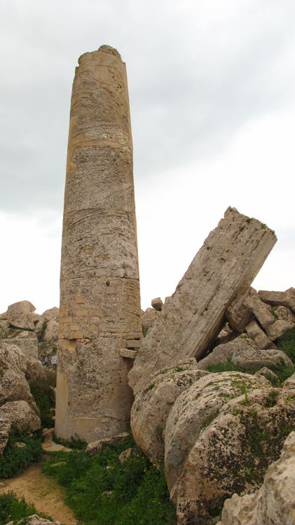 Selinous Temple of Apollo
