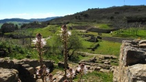 Click for full size image of Morgantina (PID:74080) Morgantina
