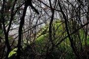 Click for full size image of Bomarzo Etruscan 'Pyramid' Altar (PID:145079) Bomarzo Etruscan 'Pyramid' Altar