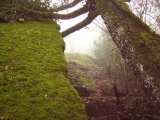 Click for full size image of Bomarzo Etruscan 'Pyramid' Altar (PID:145085) Bomarzo Etruscan 'Pyramid' Altar