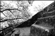 Click for full size image of Bomarzo Etruscan 'Pyramid' Altar (PID:145080) Bomarzo Etruscan 'Pyramid' Altar
