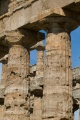 Click for full size image of Poseidonia Temple of Poseidon (PID:89061) Poseidonia Temple of Poseidon