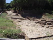 Populonia Necropolis - PID:41844
