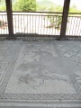 Click for full size image of Libarna (PID:91157) Libarna