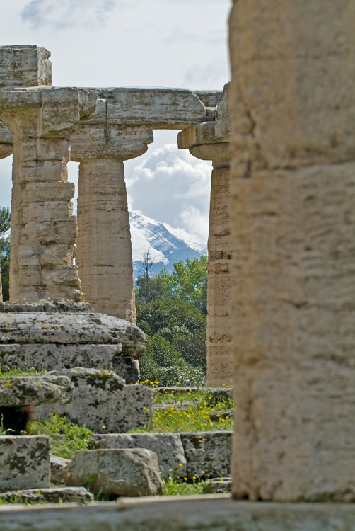 Click for full size image of Poseidonia Temple of Hera (PID:89126) Poseidonia Temple of Hera