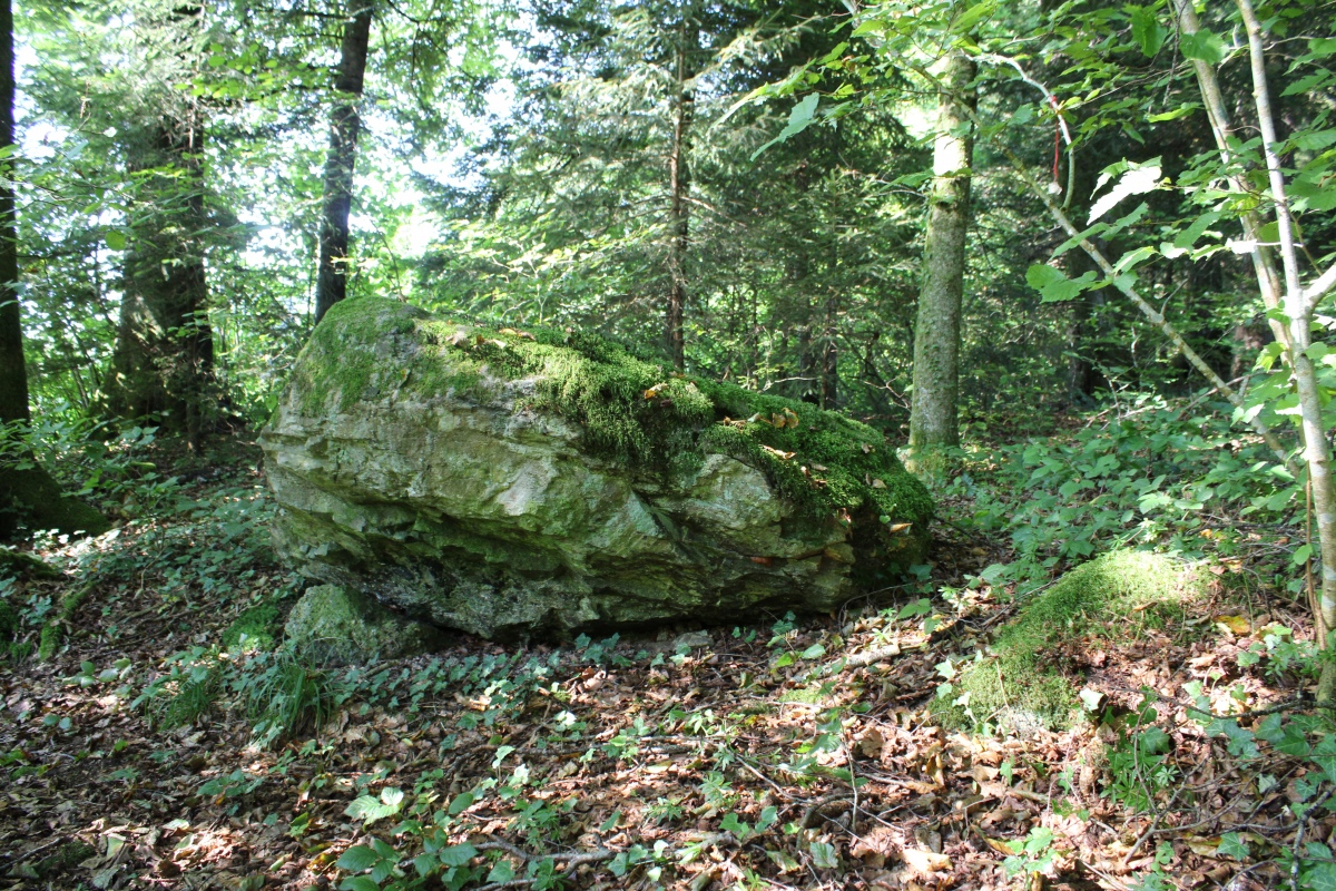 Click for full size image of Häglimoos (PID:230561) Häglimoos