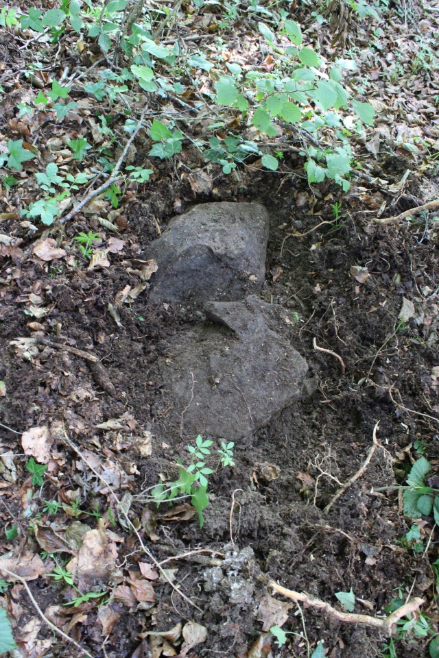 Click for full size image of Häglimoos (PID:230563) Häglimoos