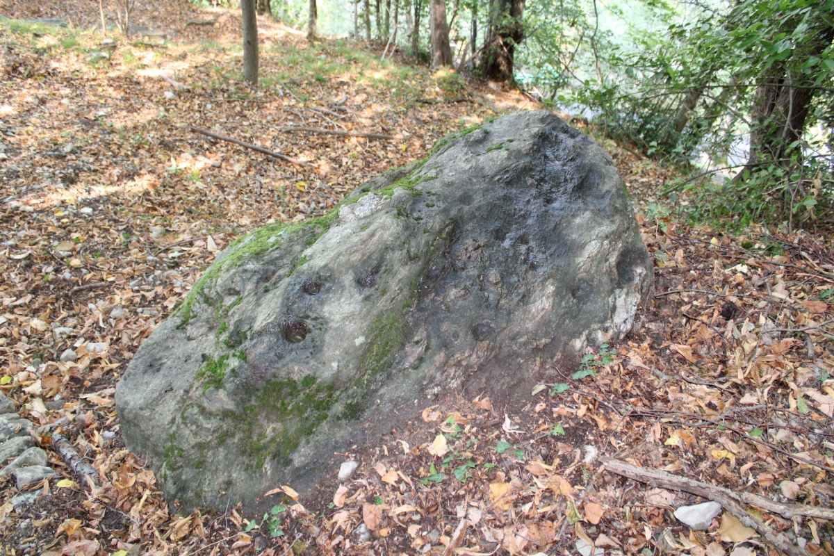 Pugerna Schalenstein (PID:247583) Pugerna Schalenstein