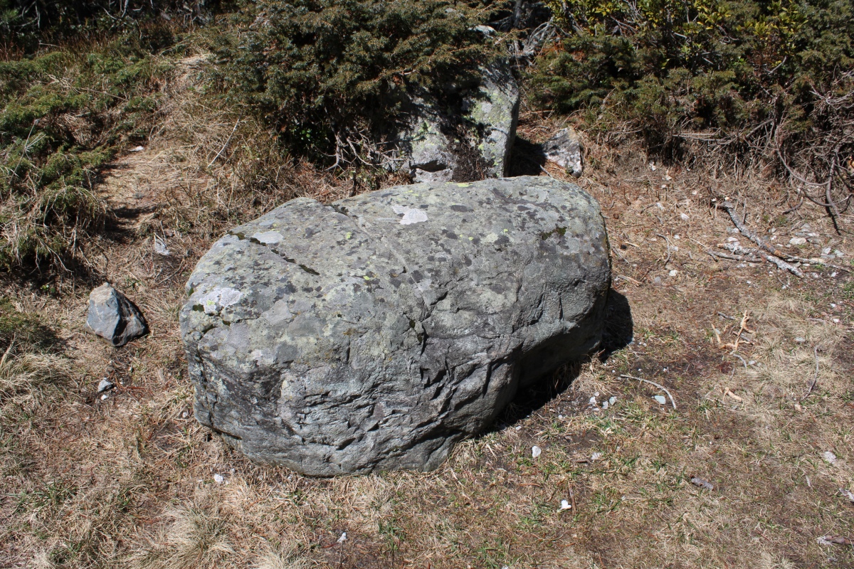 Maloja Stone with ornaments