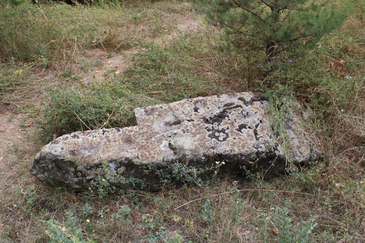 Auvernier Schalenstein (PID:262109) Auvernier Schalenstein