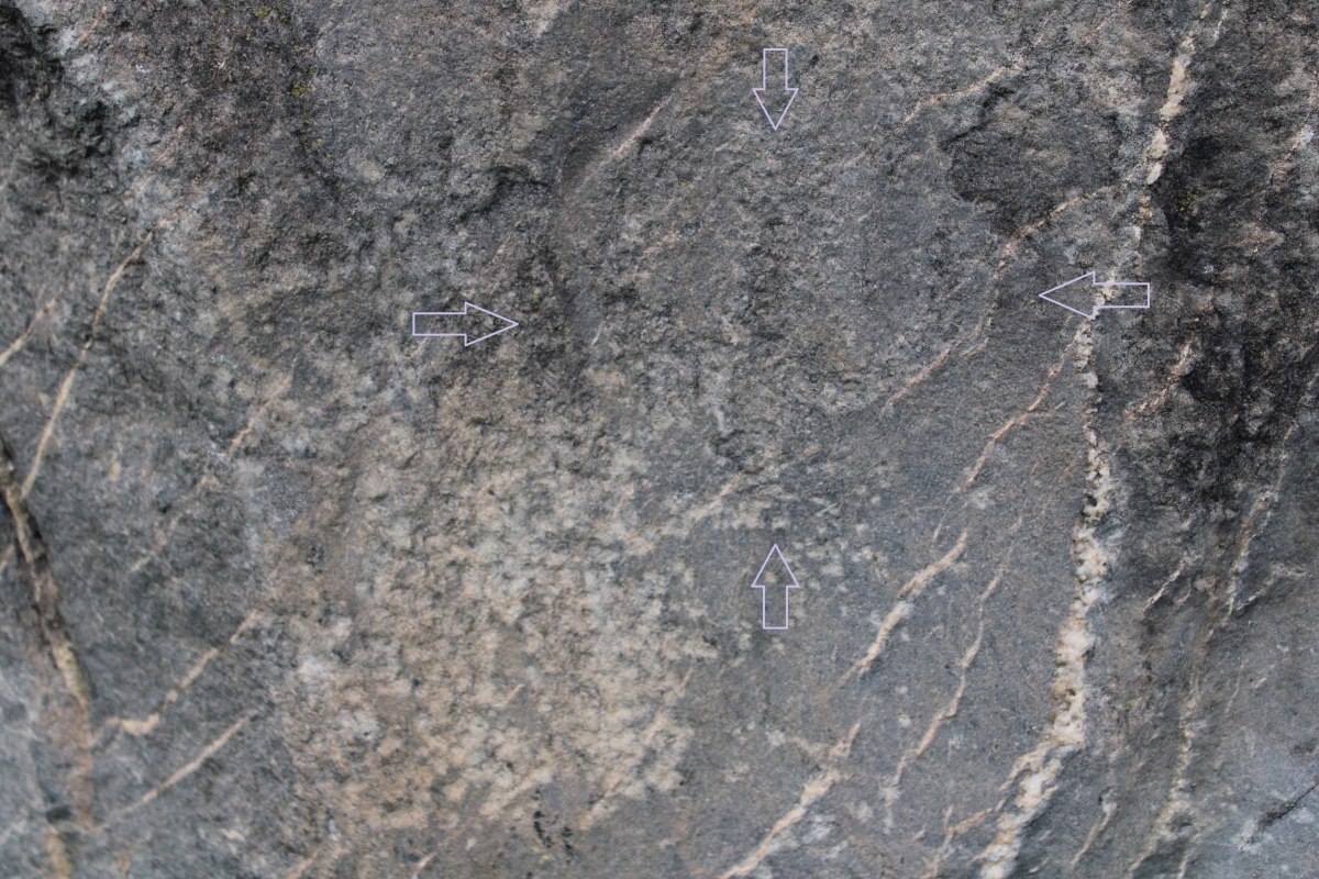 Close-up of the anthropomorphic figure in Phi-shape (within the arrows), on Menhir 4. 
Photo taken November 2023. 