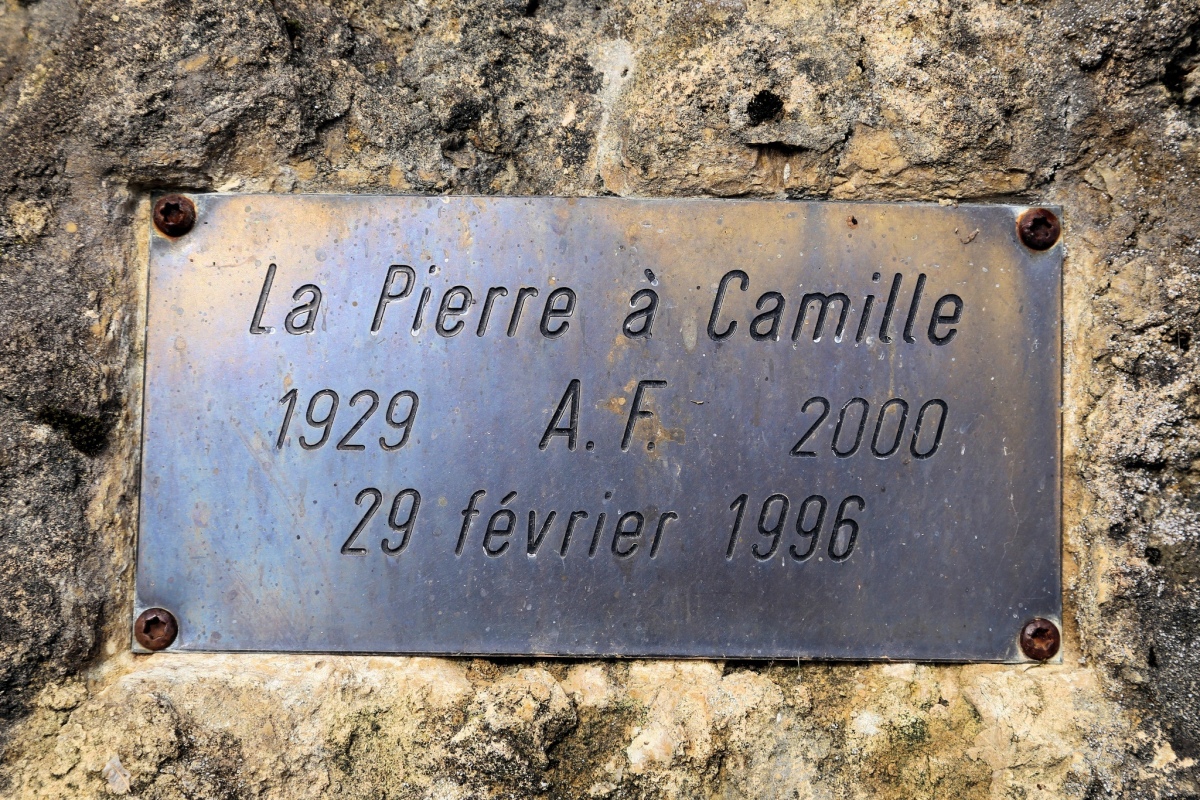 Pierre à Camille