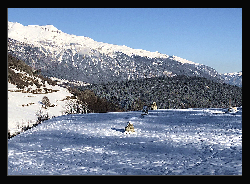 Click for full size image of Falera Menhirfeld (PID:221439) Falera Menhirfeld