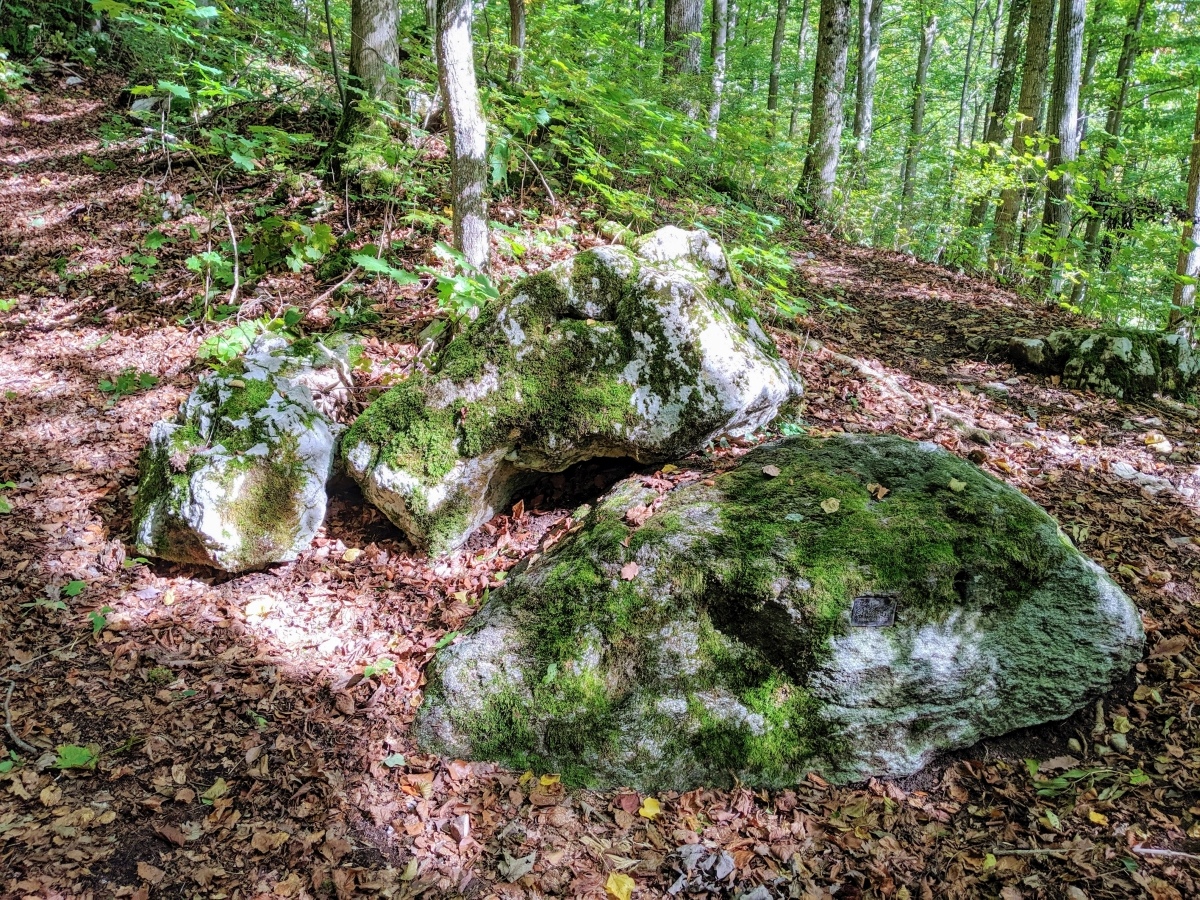 Oensingen Schalenstein