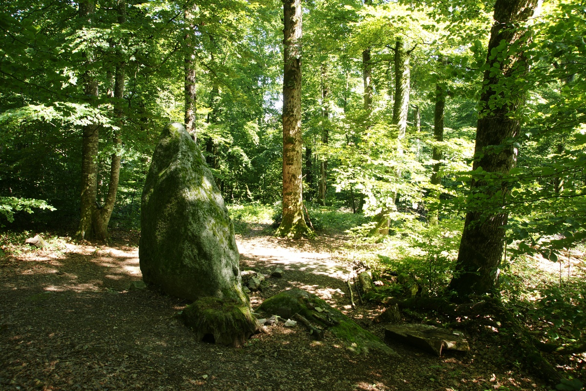 Click for full size image of Les Devens Menhir de Gorgier (PID:224631) Les Devens Menhir de Gorgier