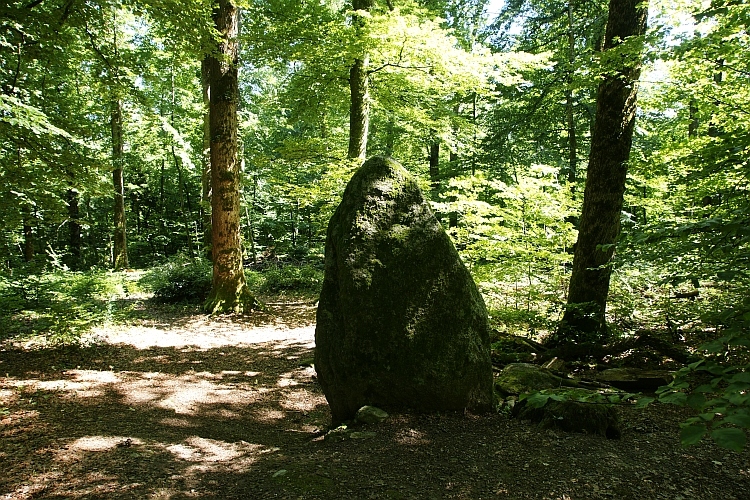 Les Devens Menhir de Gorgier (PID:104536) Les Devens Menhir de Gorgier