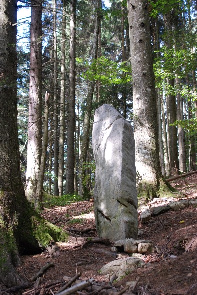 Click for full size image of Menhirs de Chessières (PID:49759) Menhirs de Chessières
