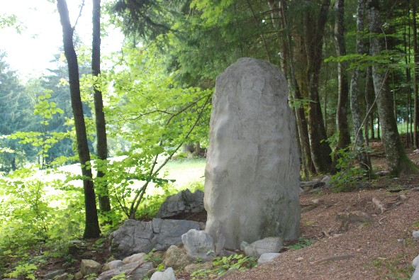 Menhirs de Chessières