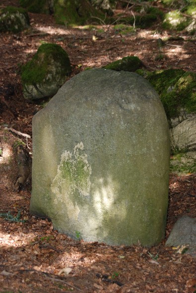 Click for full size image of Menhirs de Chessières (PID:49766) Menhirs de Chessières