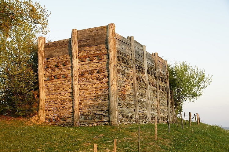 Oppidum Mont Vully