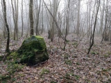 Althau Menhirs