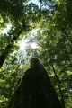 Click for full size image of Les Devens Menhir de Gorgier (PID:104789) Les Devens Menhir de Gorgier