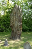 Clendy Steinalleen - PID:105153