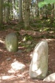 Click for full size image of Menhirs de Chessières (PID:49760) Menhirs de Chessières