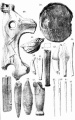 Click for full size image of Kesslerloch (PID:99167) Kesslerloch