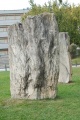 Chemin des Collines Menhirs