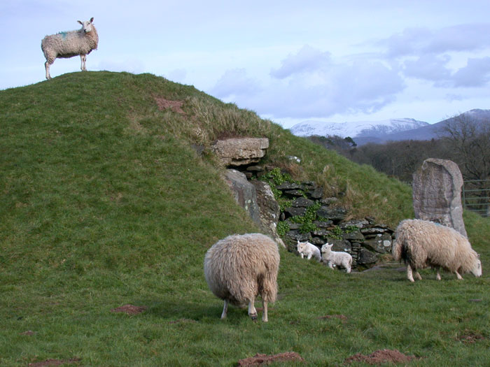Bryn Celli Ddu - Passage Grave in Wales in Anglesey (Sir Ynys Mon) * A * Best Springtime photo with a Megalithic or Prehistoric subject
Bryn Celli Ddu - complete with new born lambs and snow on Snowdonia Mountains.....