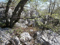 Zvonigrad - fortification wall - PID:107269