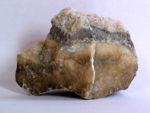 Rock sample of Pag Triangle, Island of Pag, Croatia.