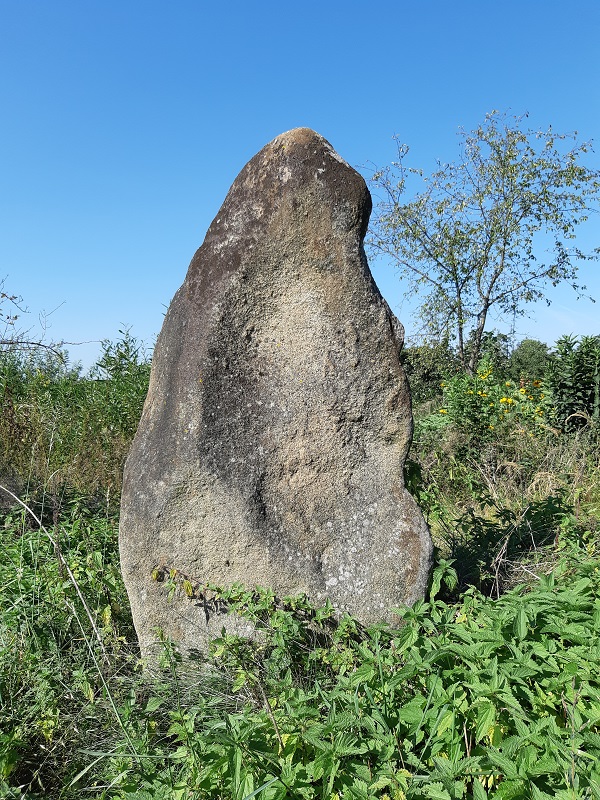 Menhir of Parezí