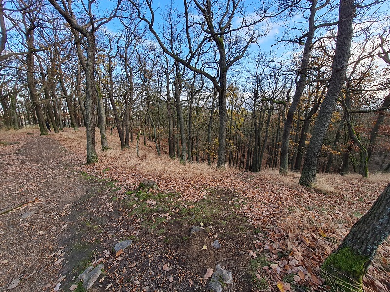 Click for full size image of High Hill hillfort (PID:234744) High Hill hillfort