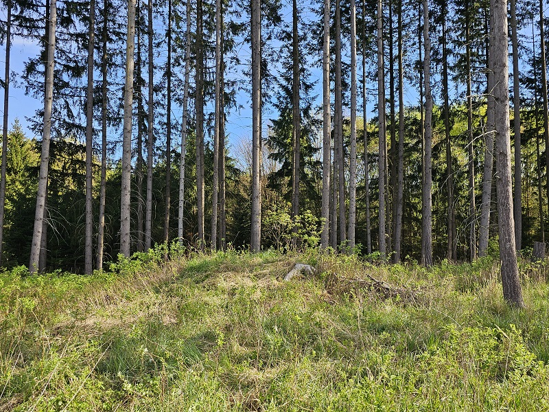 Barrow Cemetery Dražičky